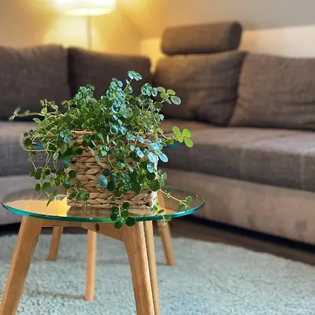 Fewo Sulzer Siedlung 