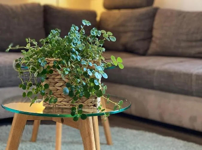 Fewo Sulzer Siedlung Haus 6 Erfurt